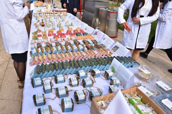 Nahçıvan’da düzenlenen Bal Festivali coşku ile karşılandı