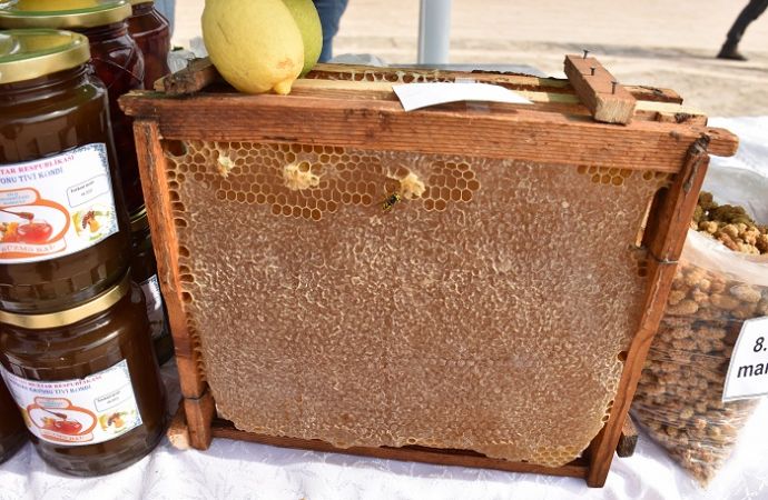 Nahçıvan’da düzenlenen Bal Festivali coşku ile karşılandı