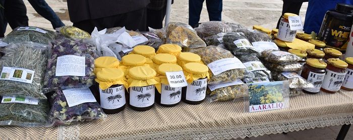 Nahçıvan’da düzenlenen Bal Festivali coşku ile karşılandı