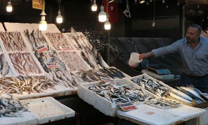 Tezgahlar balıkla doldu taştı, fiyatlar yarı yarıya düştü