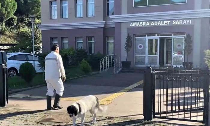 Maden kazası soruşturmasında ifadeler alınmaya devam ediyor