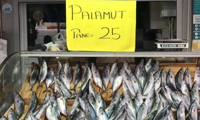 Karadeniz’de palamudun fiyatı 25 liraya düştü Karadeniz’de palamudun fiyatı 25 liraya düştü