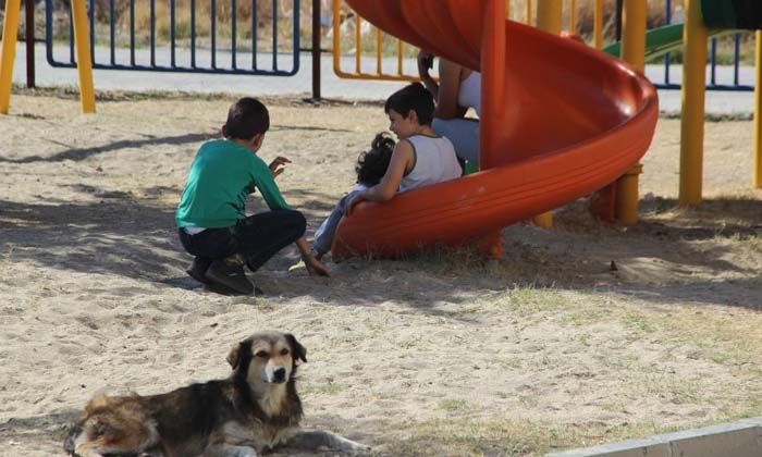 İki kardeş 3 gün arayla dehşeti yaşadı