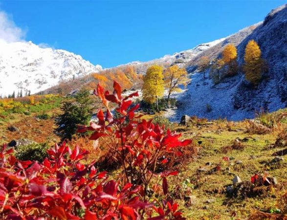 Artvin’den sonbahar manzaraları