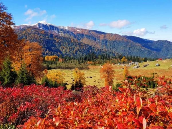 Artvin’den sonbahar manzaraları