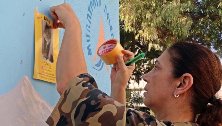 Balkondan düşüp kaybolan ‘Püskül’ü bulana 3 bin TL ödül verecek