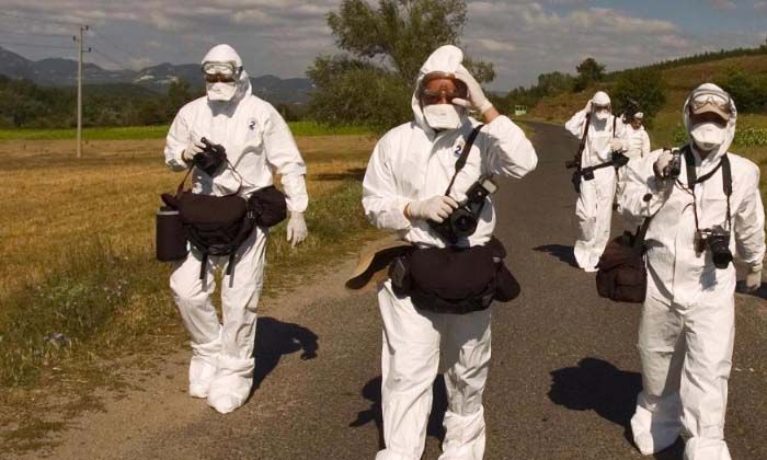 Bulgaristan’da 19 bin tavuk kuş gribi nedeniyle itlaf edilecek