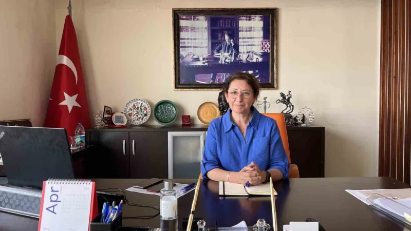 Turizm merkezi Bozcaada’da Tiny House yasakları başlıyor