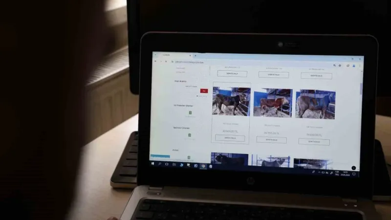 Türkiye’de bir ilk: Dijital kurban pazarı kuruldu
