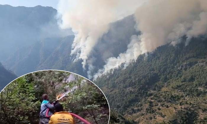 Osmaniye’deki orman yangınına karadan müdahale başladı