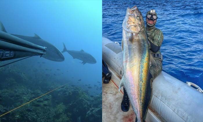 1 saat uğraştı, boyu kadar balık yakaladı