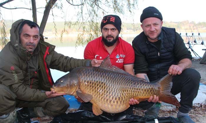 En büyük sazanı yakalayıp fotoğraf çektirdikten sonra göle bıraktılar