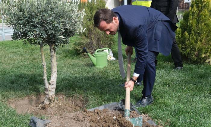 Kalyon Holding’ten rekor fidan dikimi