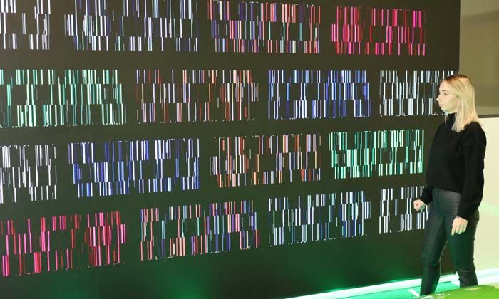 Sanata Bi Yer Platformu üyesi İrem Karagöz Terzi’nin eserleri Doğuş Otomotiv Plus Deneyim Merkezi’nde