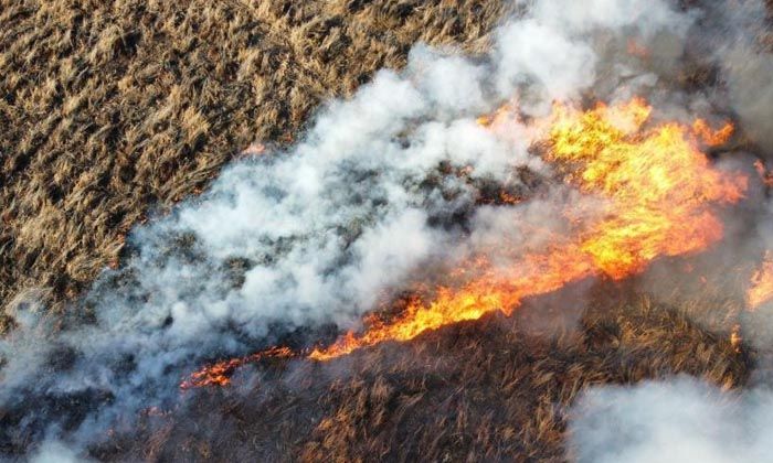 Eber Gölü çevresinde 4. defa yangın çıktı