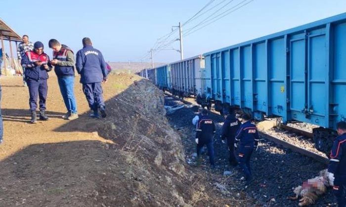 Kahramanramaraş’ta trenin çarptığı Ahmet İlgen hayatını kaybetti