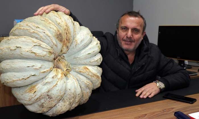 Gençlere örnek olmak için kabak ekti 200 bin TL gelir elde etti