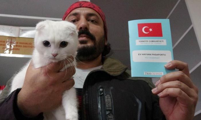 Kedi ve köpek sahipleri için süre 31 Aralık’ta doluyor