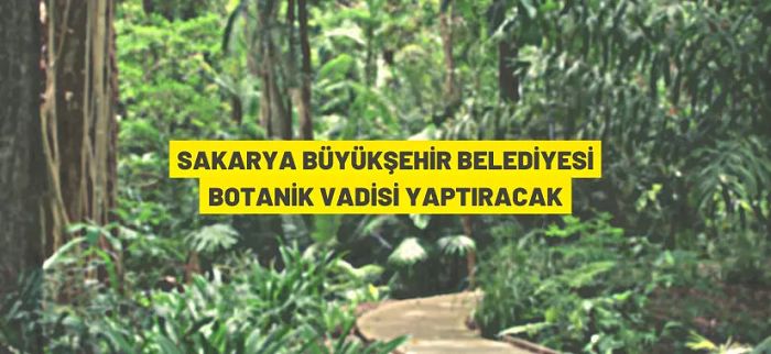Sakarya’da botanik vadisi yaptırılacak