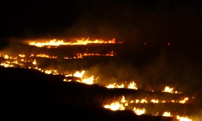 Yüksekova’nın kuş cenneti 4 gündür alev alev yanıyor