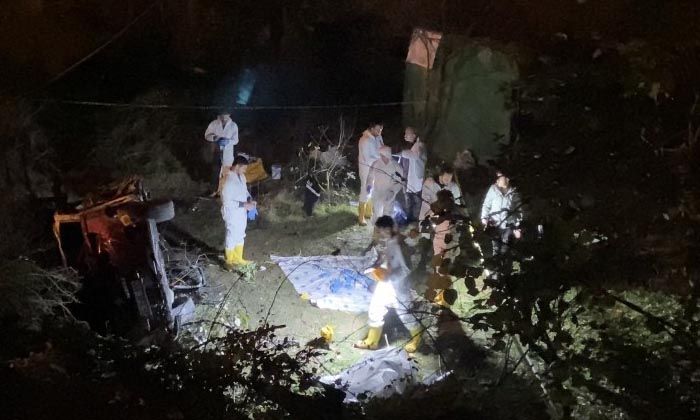 Ağaçlık alana uçan otomobil alev alev yandı: 1’i polis 2 kişi hayatını kaybetti