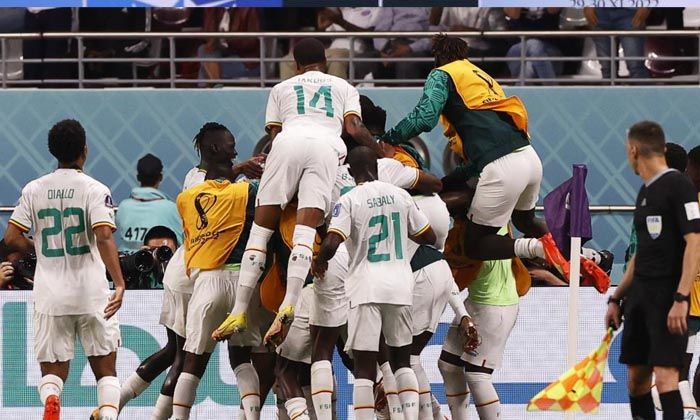 Hollanda ve Senegal, Dünya Kupası’nda son 16’ya kaldı