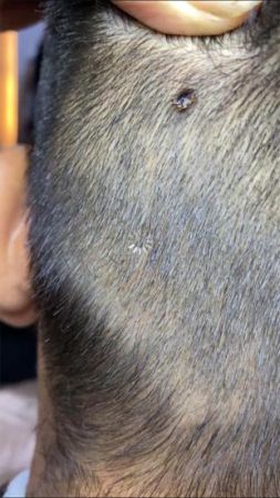 Tıraş olmaya gitti, berberin dikkati sayesinde hayatı kurtuldu