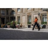 PARİS’TEKİ YENİ MACERALAR