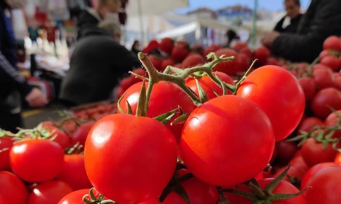 İstanbul’da Kasım ayında en çok domates pahalandı