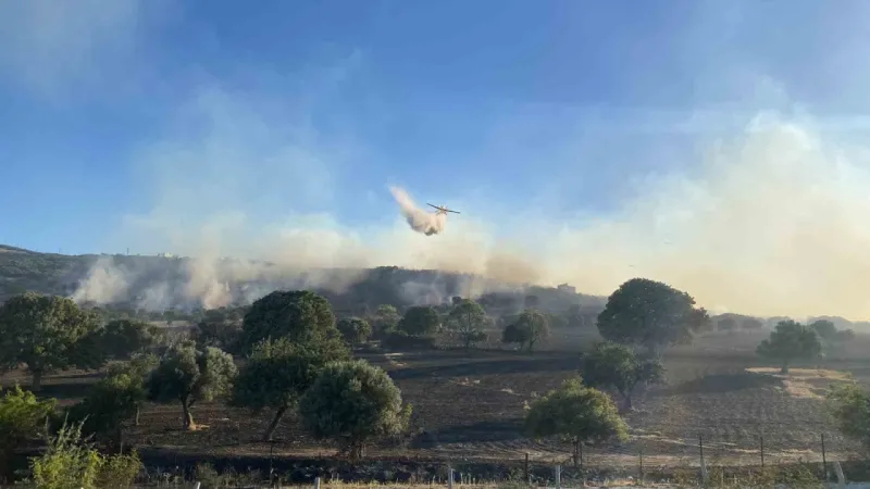 Çanakkale’de tahliye edilen köy sayısı 2’ye yükseldi