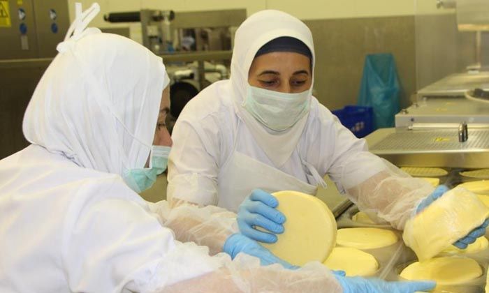 Kasım ayında fiyatı en fazla artan ürün tereyağı oldu