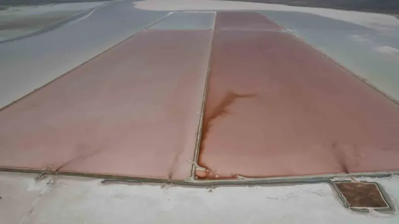 Tuz Gölü pembe renge büründü Tuz Gölü pembe renge büründü