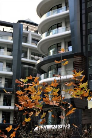 Zeray Meva Anadolu ve Effect Kartepe’de yaşam başladı