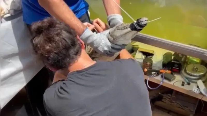 İstanbul’da kazaklı timsah operasyonu: Timsahı tasma takıp gezdirdi