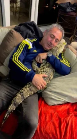 İstanbul’da kazaklı timsah operasyonu: Timsahı tasma takıp gezdirdi