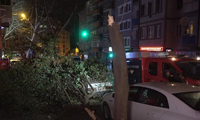 Bursa’da lodos etkisiyle ağaçlar kırıldı, arabaların üzerine devrildi