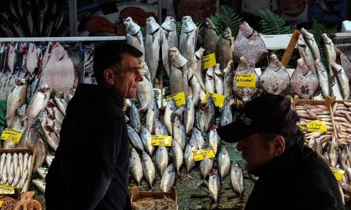 İstanbul’da balık tezgahlarının en ucuz balığı 70 TL ile hamsi oldu
