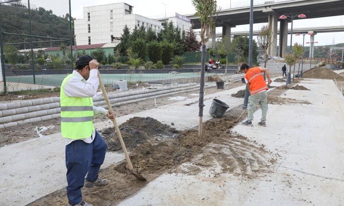 Toprakla buluşan fidan sayısı 40 bini buldu