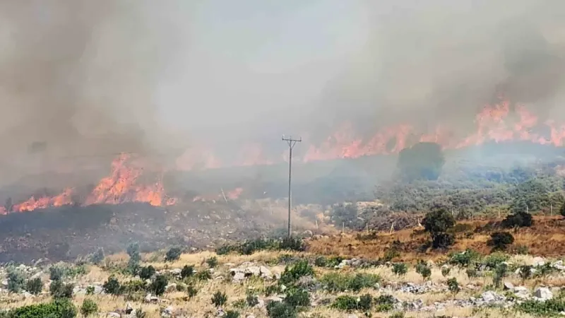 İzmir Menderes’teki yangının ardından bir yangın da Çeşme’de başladı