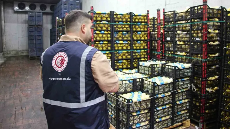 Mersin’de limon depoları denetleniyor