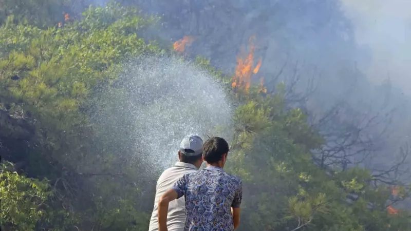 Ekoloji Uzmanı Prof. Dr. Neyişçi’den yangına karşı rüzgar perdesi önerisi Ekoloji Uzmanı Prof. Dr. Neyişçi’den yangına karşı rüzgar perdesi önerisi