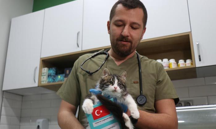 6 gün sonra süre doluyor: Veteriner hekimler ek süre istedi