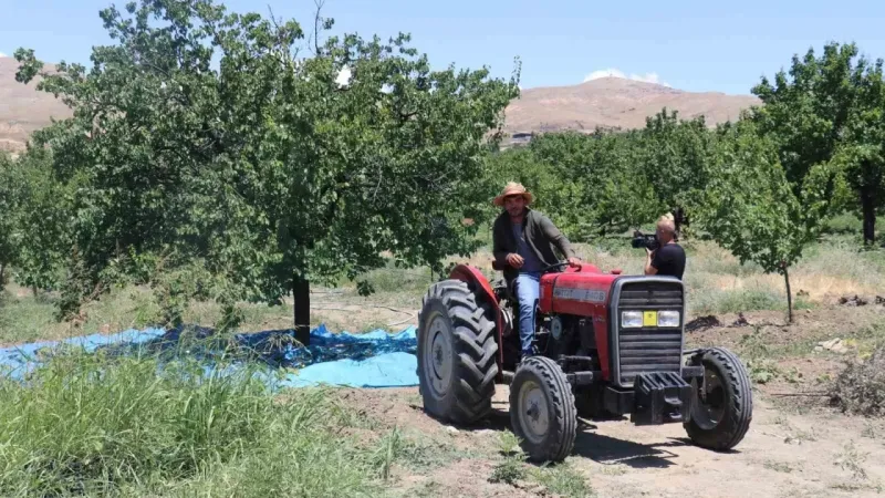 Kayısının dalından 115’den fazla ülkeye ihracat