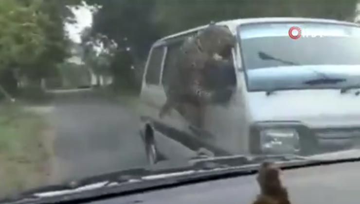 Hindistan’da kampüse giren leopar dehşet saçtı: 13 yaralı