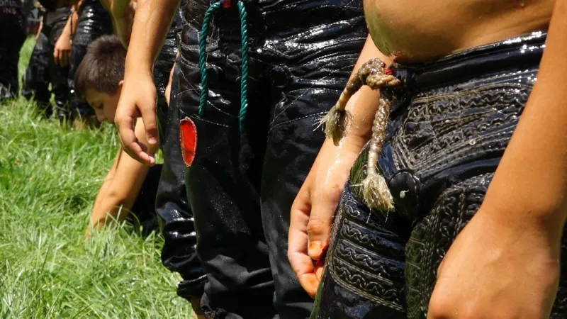 663. Tarihi Kırkpınar Yağlı Güreşleri’nin ikinci gün müsabakaları başladı