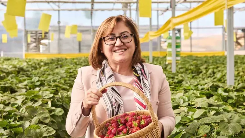 Çöplerden elde edilen ısıdan yararlanılan çilek serası ilk hasadını verdi Çöplerden elde edilen ısıdan yararlanılan çilek serası ilk hasadını verdi