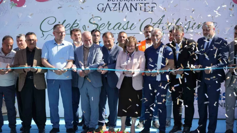 Çöplerden elde edilen ısıdan yararlanılan çilek serası ilk hasadını verdi Çöplerden elde edilen ısıdan yararlanılan çilek serası ilk hasadını verdi