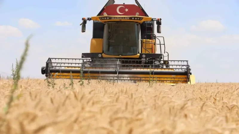 Konya’da buğday rekoltesinde düşüş