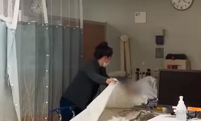 Belçika’da grip salgını ilan edildi