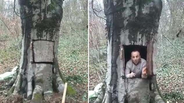 Ağaçkakan gibi ağacın içine gizlendi